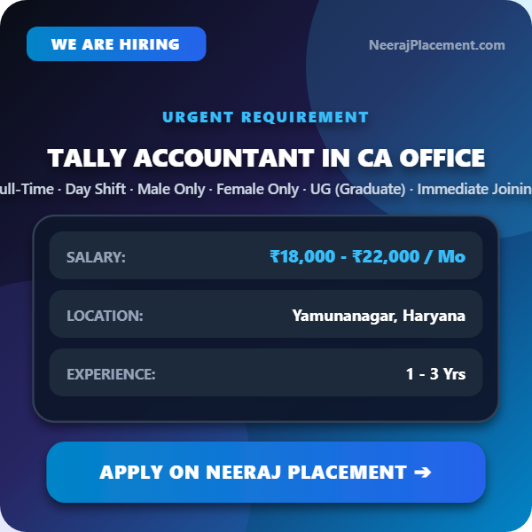 Tally Accountant in CA Office — Photo 1