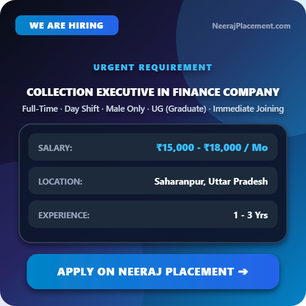 Collection Executive in Finance Company — Photo 1