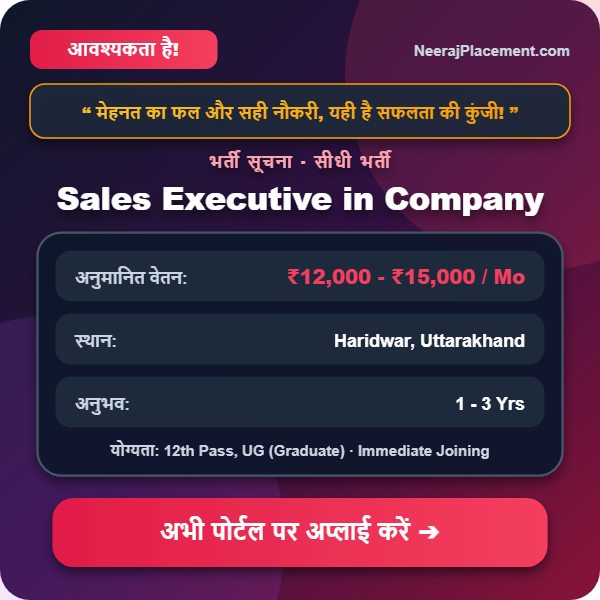 Sales Executive in Company — Photo 2